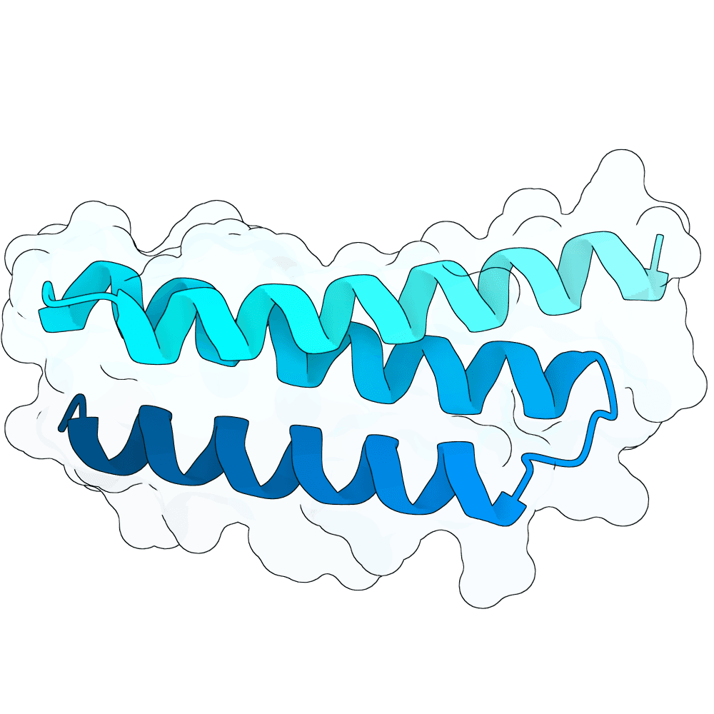 Protein preview quick-falcon-stone