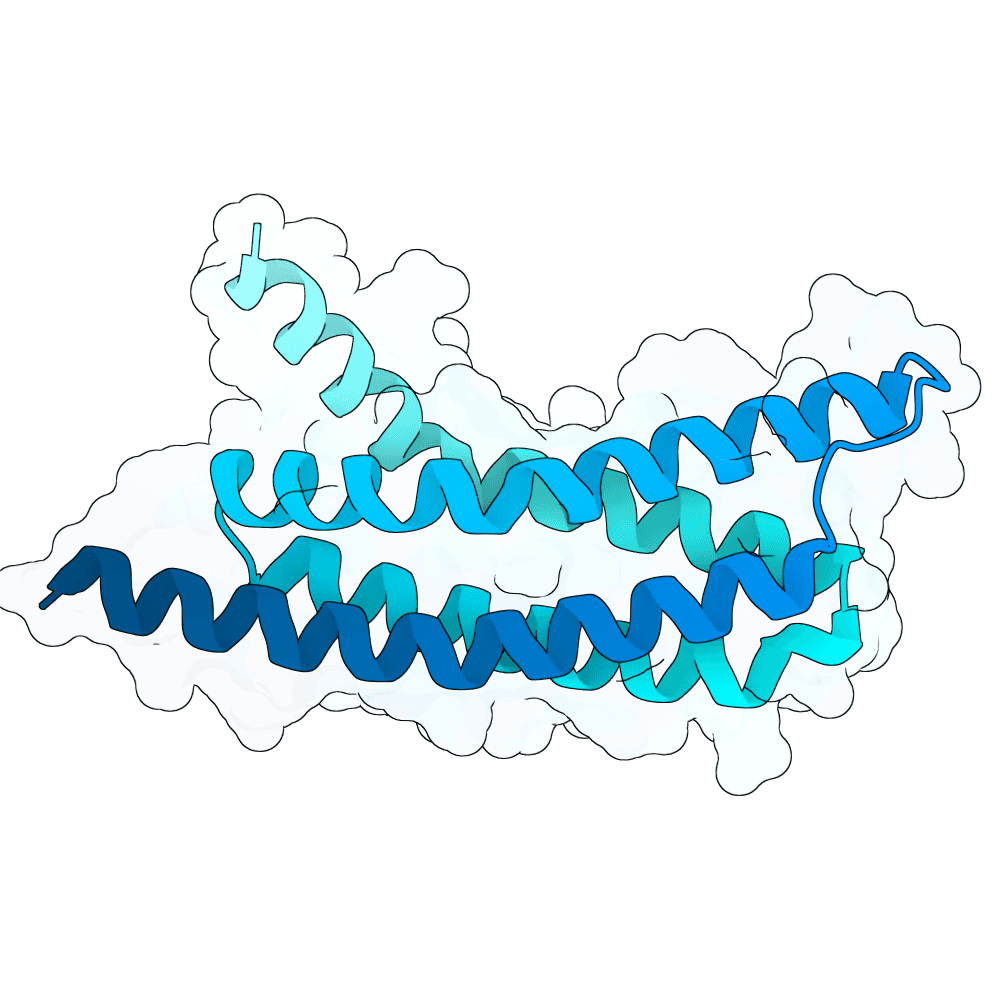 azure-yak-bronze