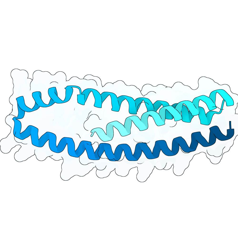 solid-crane-fern