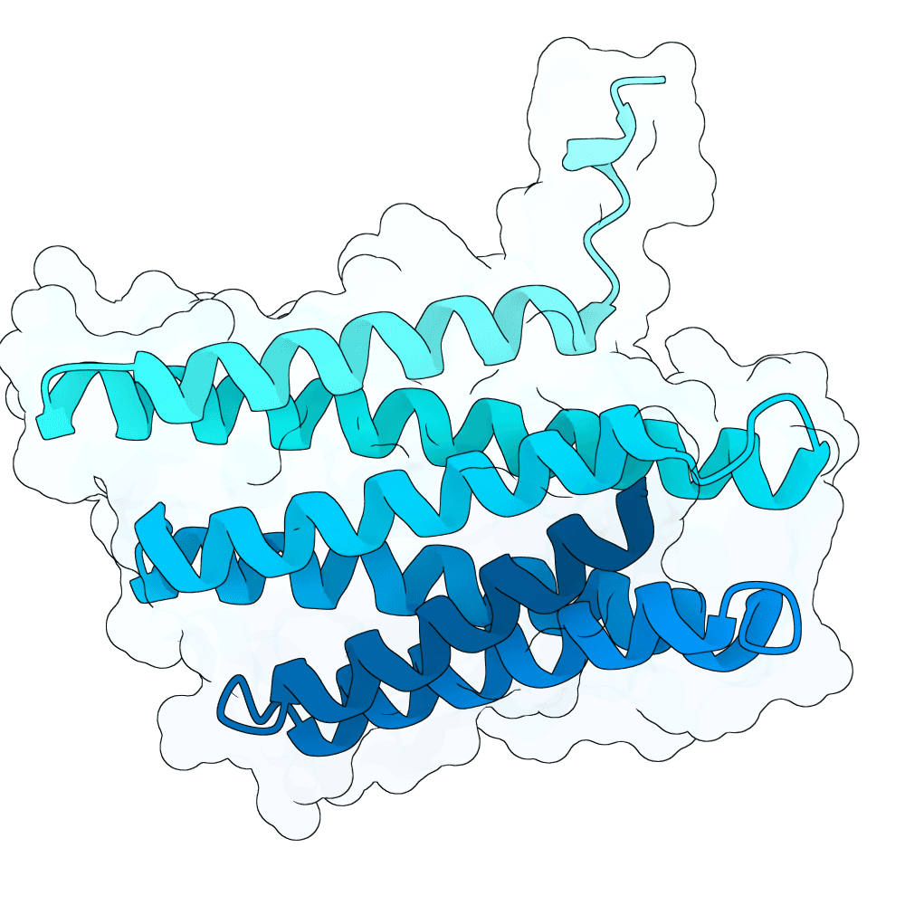 bright-shark-stone