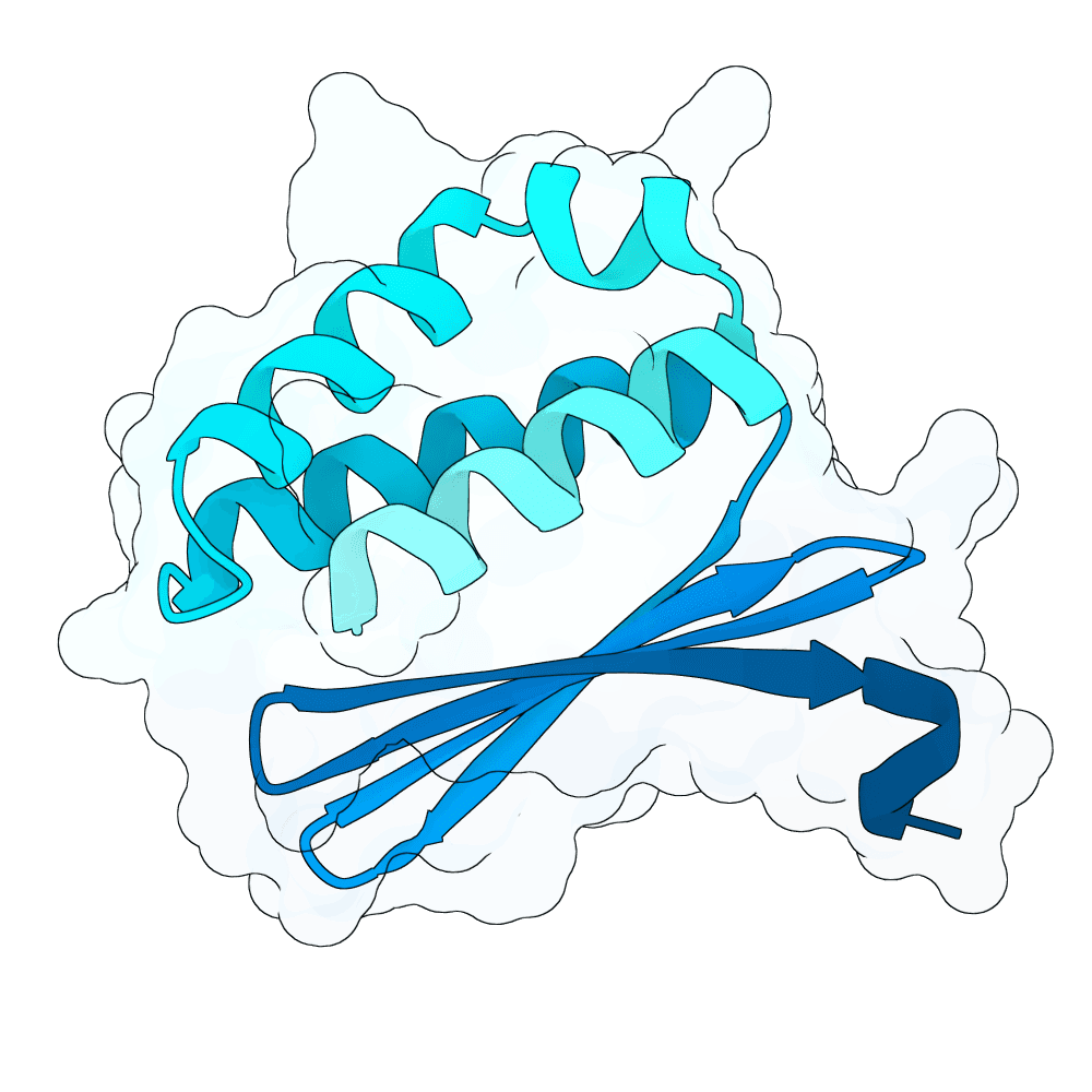 brisk-jaguar-frost