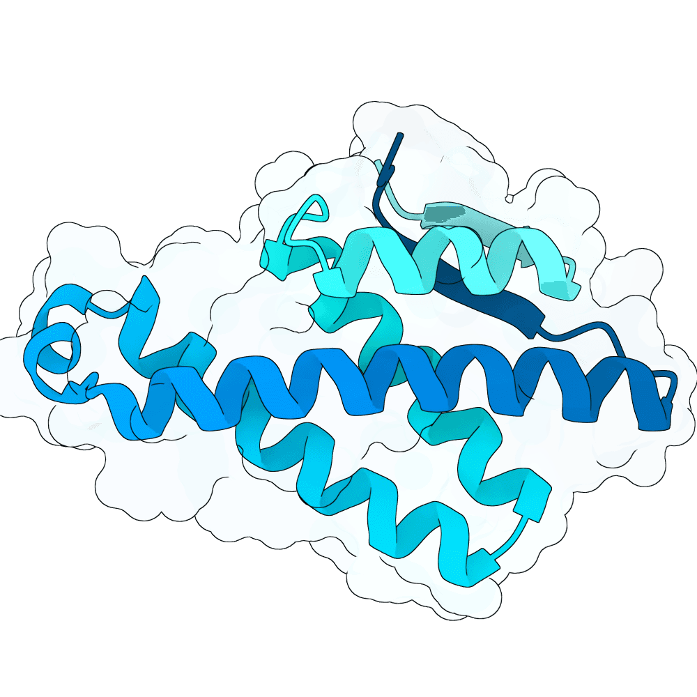 strong-deer-fern