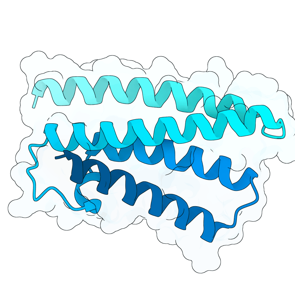 Protein preview rapid-cat-granite
