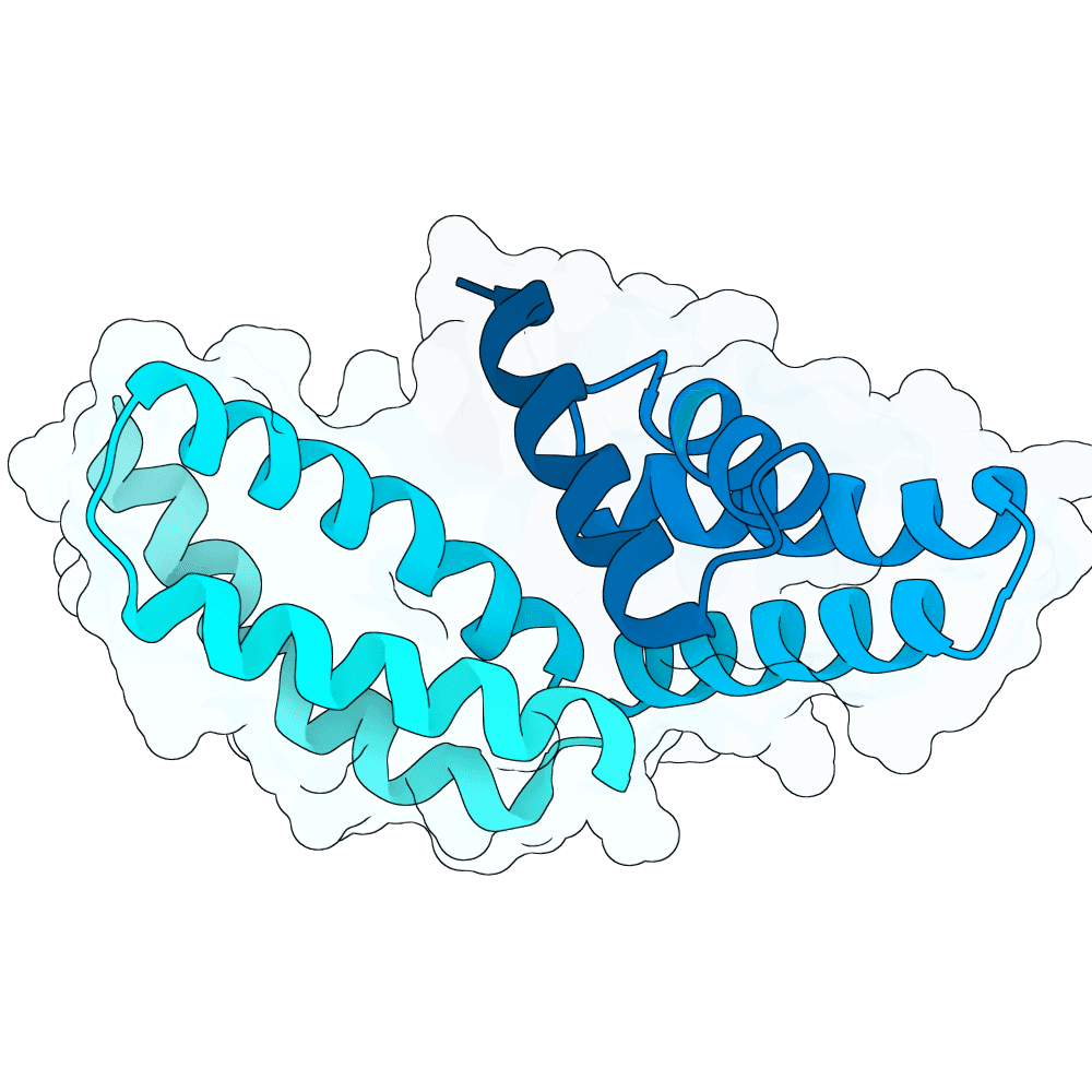 Protein preview bright-ox-ruby