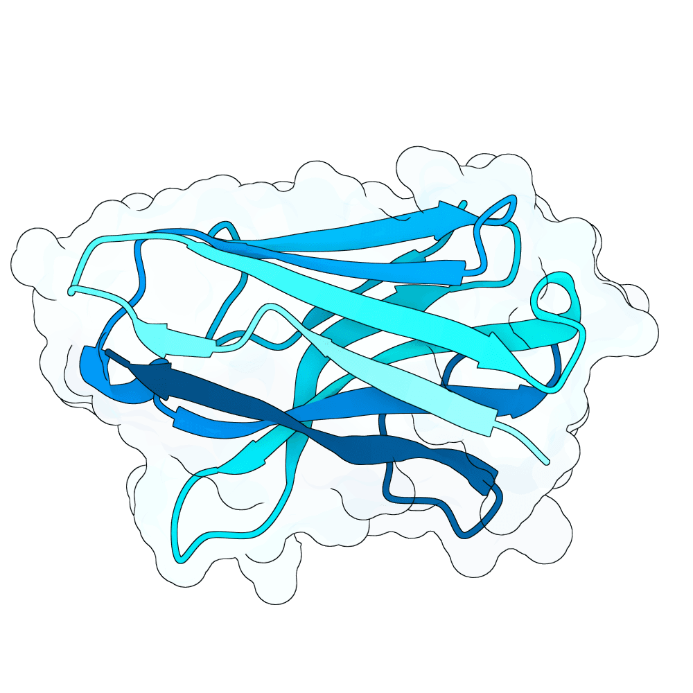 quiet-yak-ice