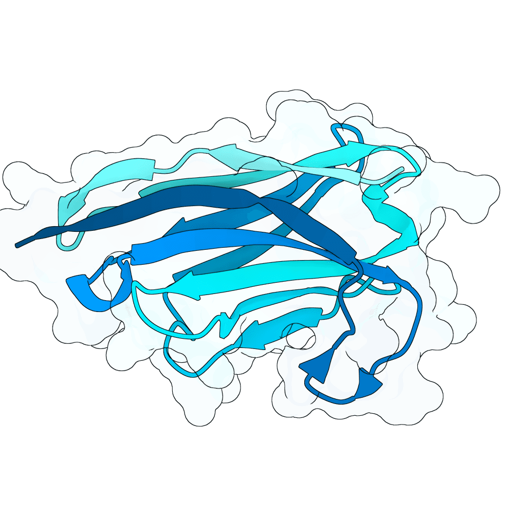 crimson-toad-onyx