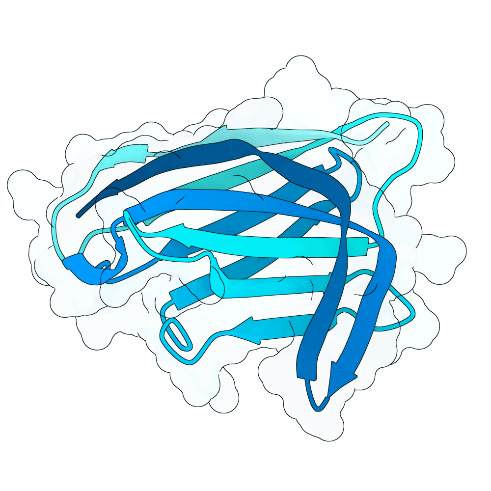 green-tiger-reed