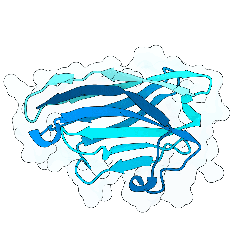 Protein preview strong-boar-rose