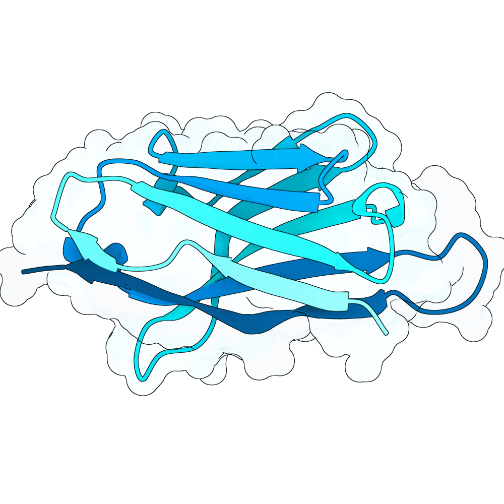 Protein preview vast-ibis-stone