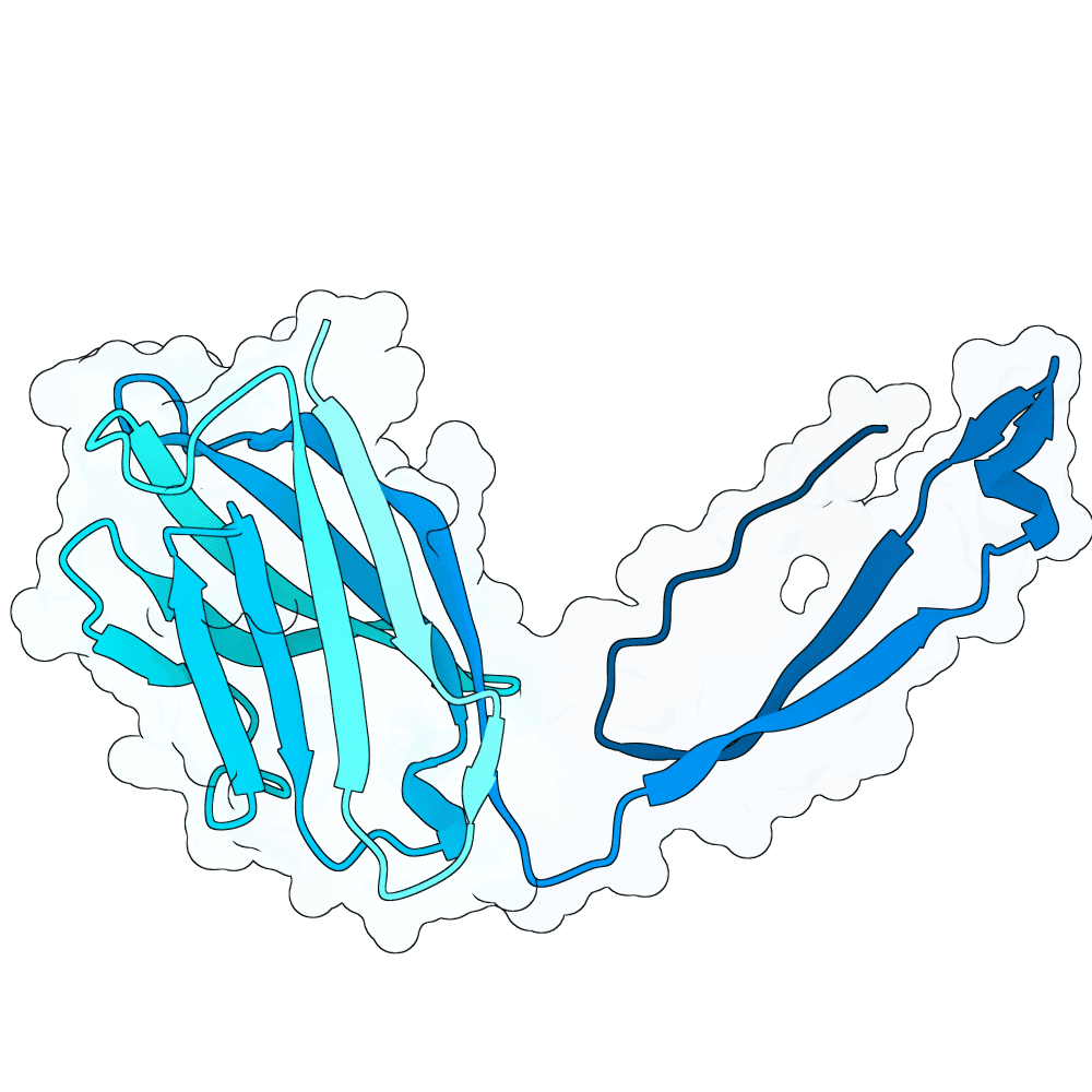 Protein preview steady-crow-sand