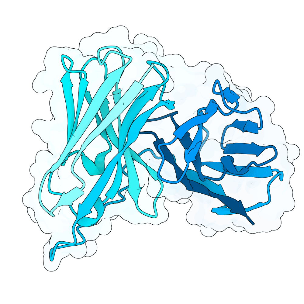 vast-boar-granite