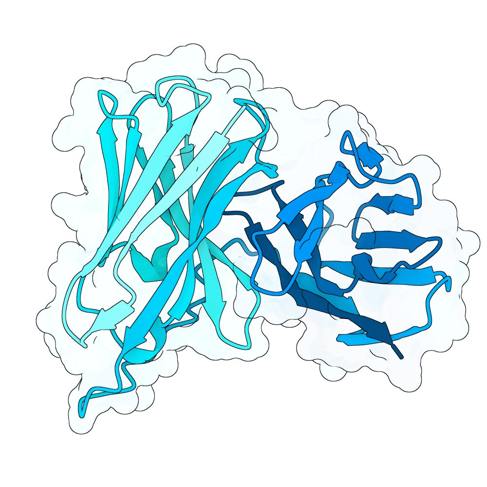 solid-bison-topaz
