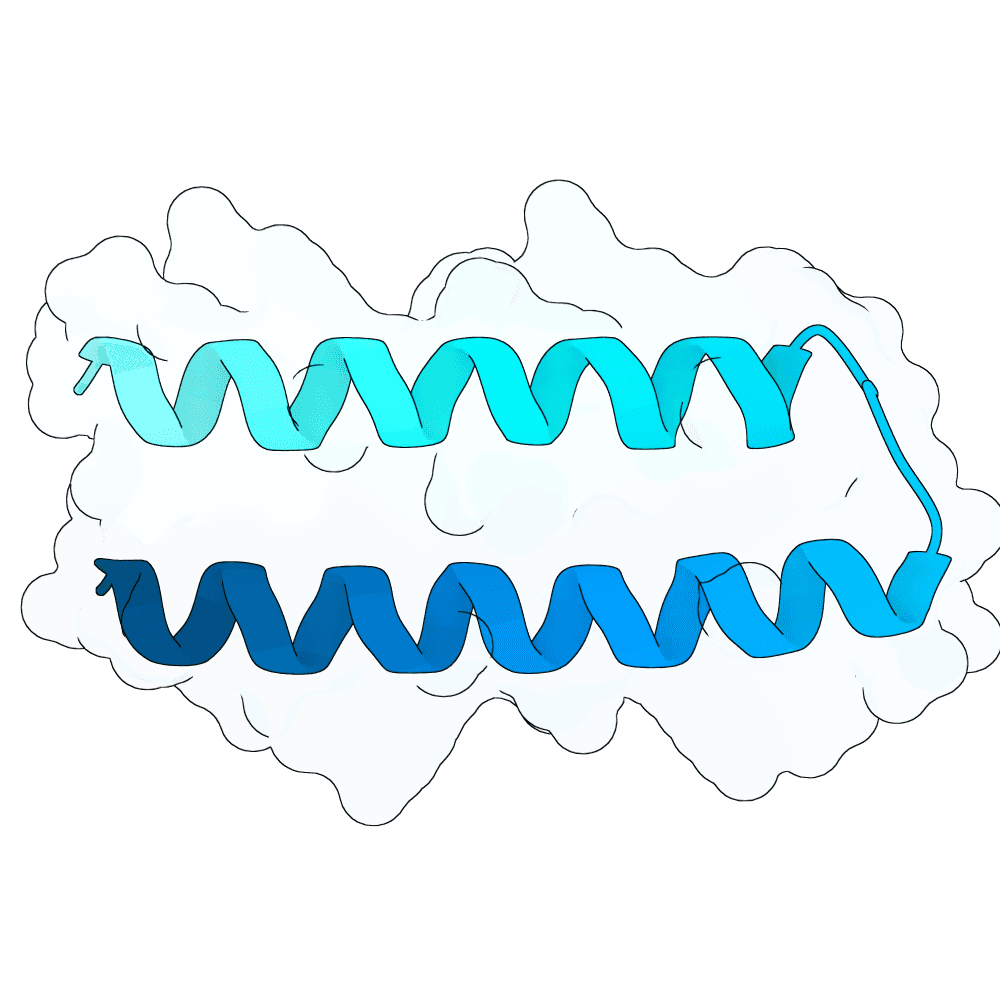 quick-boar-wave
