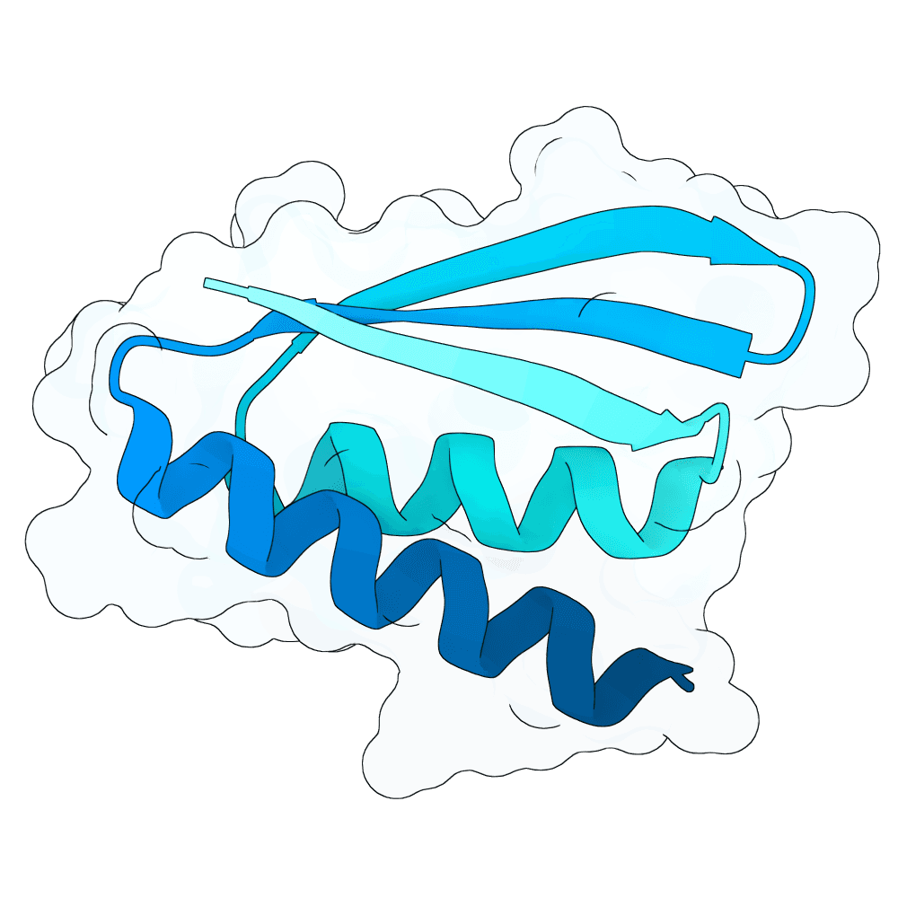 small-cat-opal