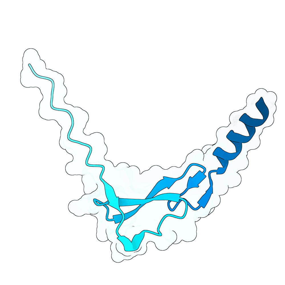 vast-kiwi-crystal