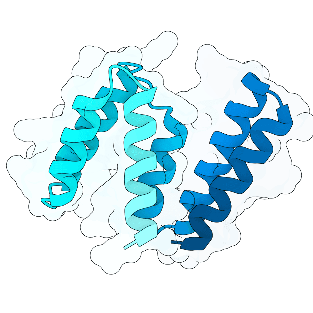 bright-bear-leaf