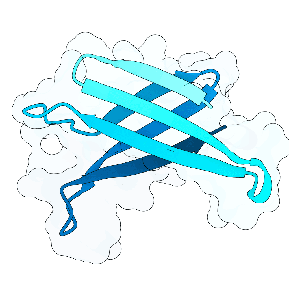 rough-fox-ice