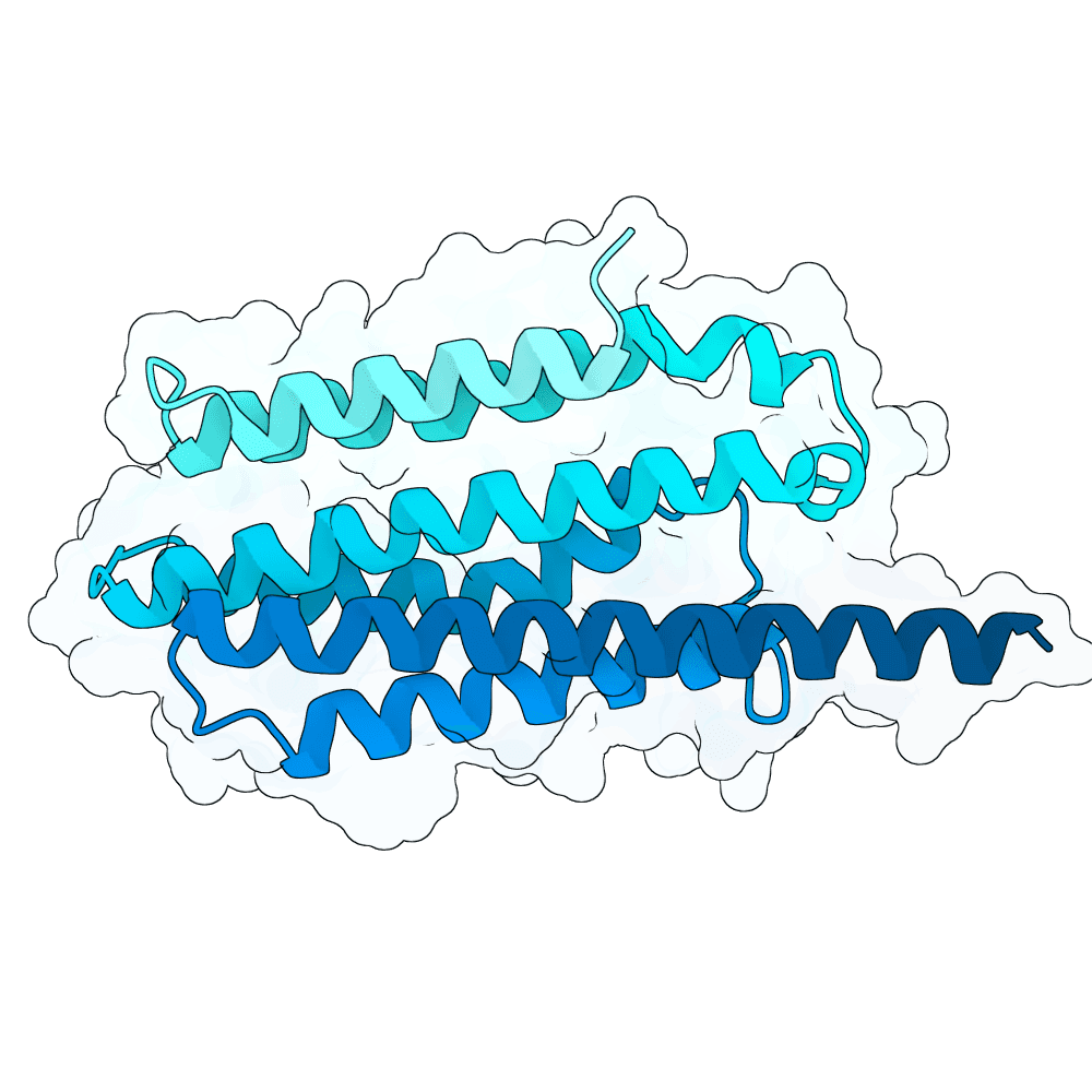 calm-raven-plume