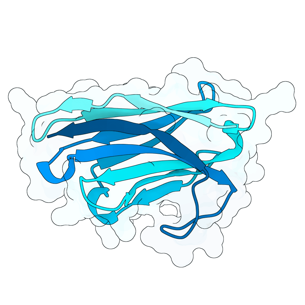 hollow-lynx-maple