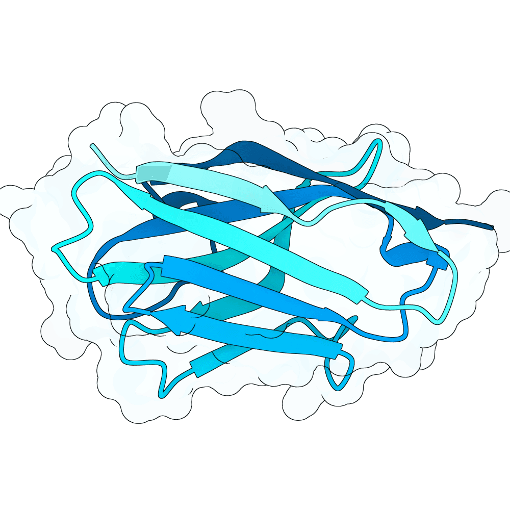 brisk-shark-stone