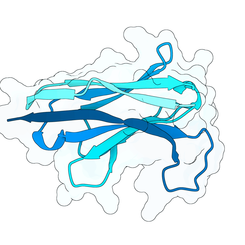 vast-goat-topaz
