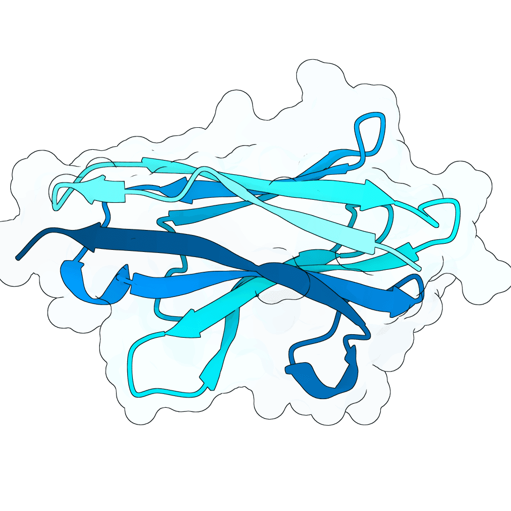 jade-yak-flint