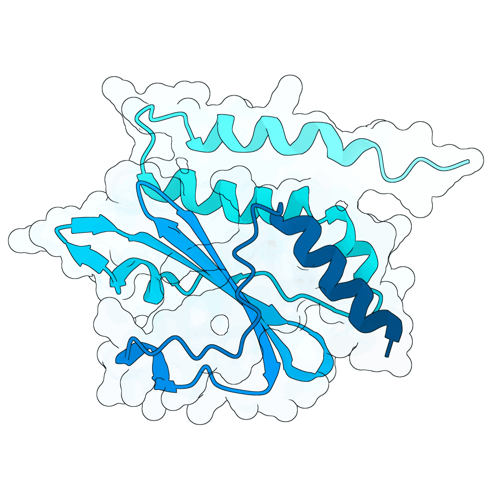 silent-yak-frost