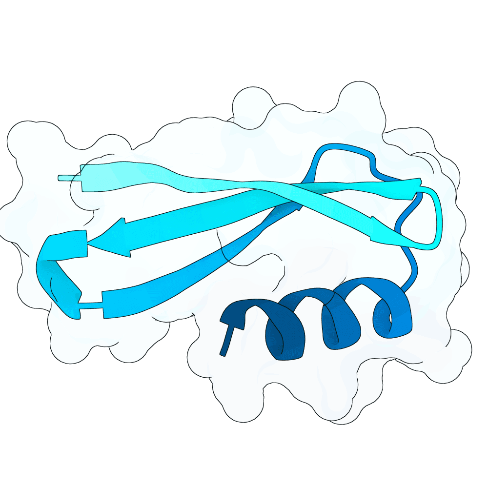 dark-lynx-thorn