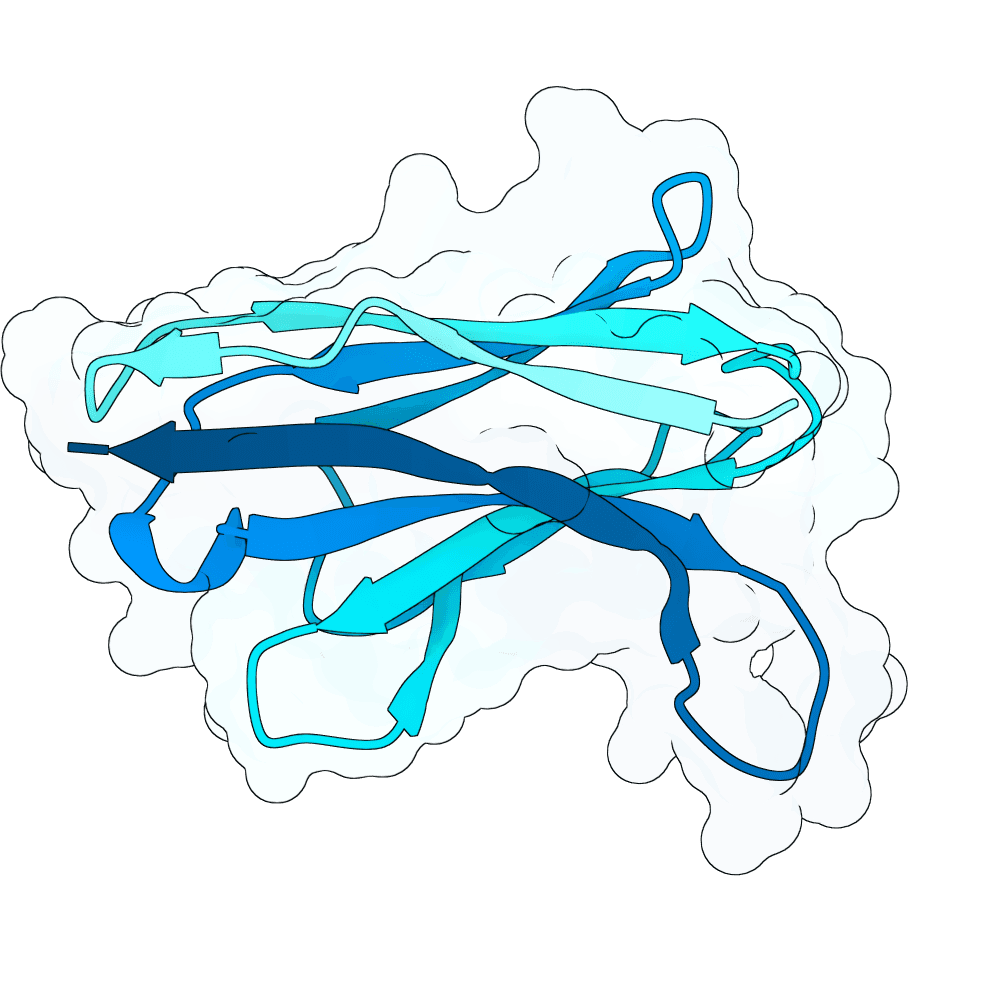 wild-raven-granite