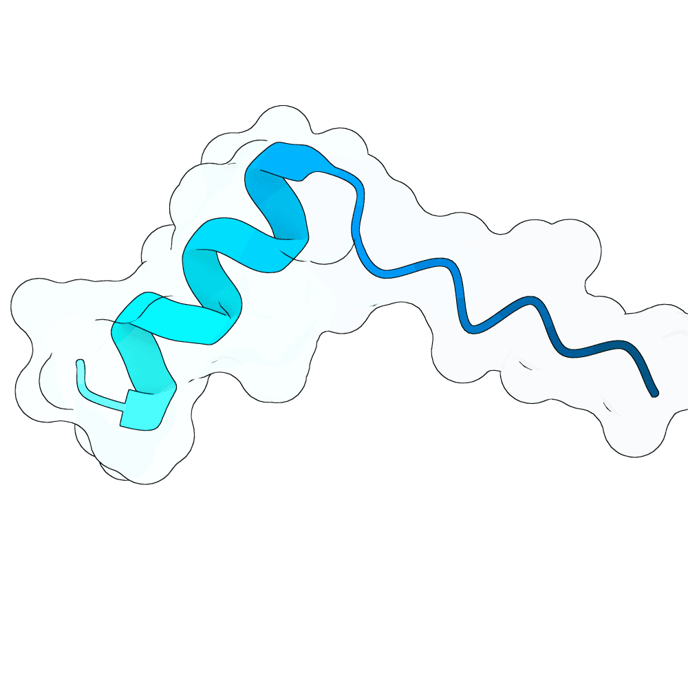 solid-jaguar-frost