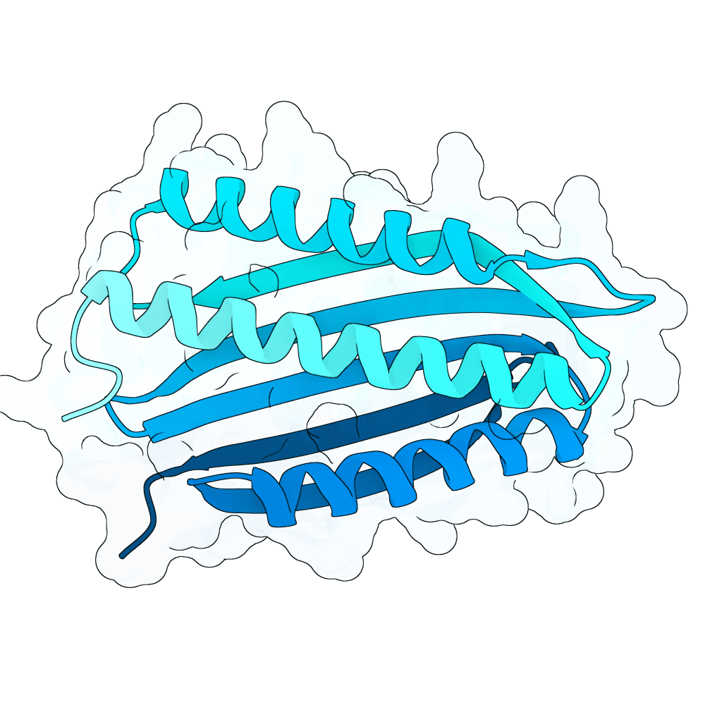 vast-swan-ice