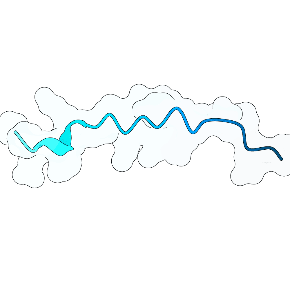 dark-orca-wave
