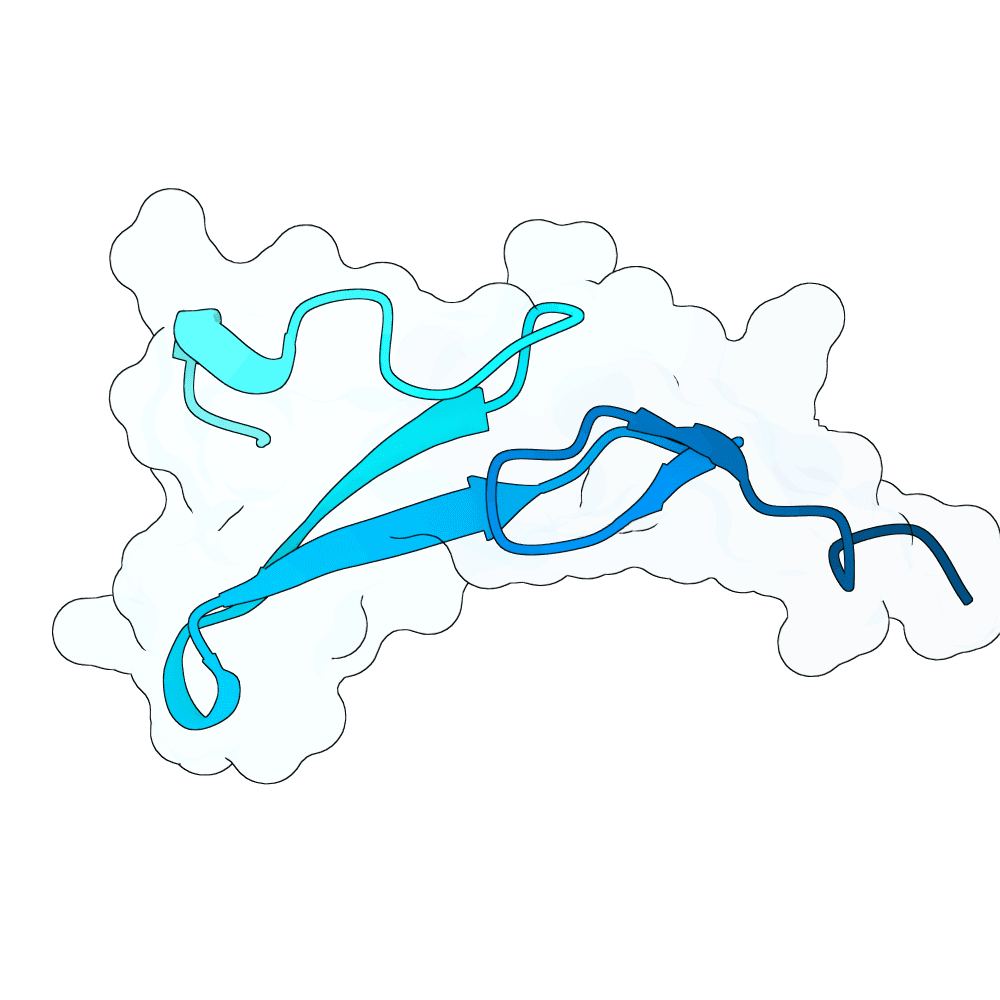 Protein preview silver-crow-birch
