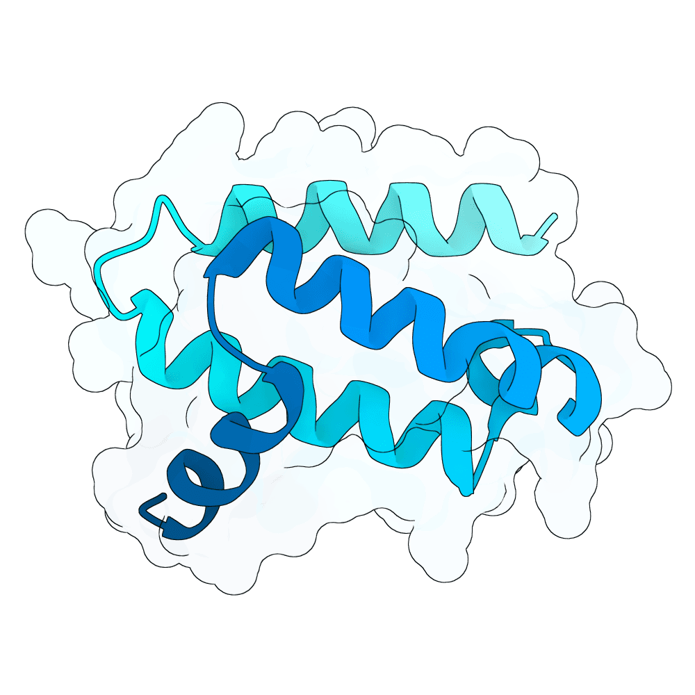 Protein preview dark-falcon-maple
