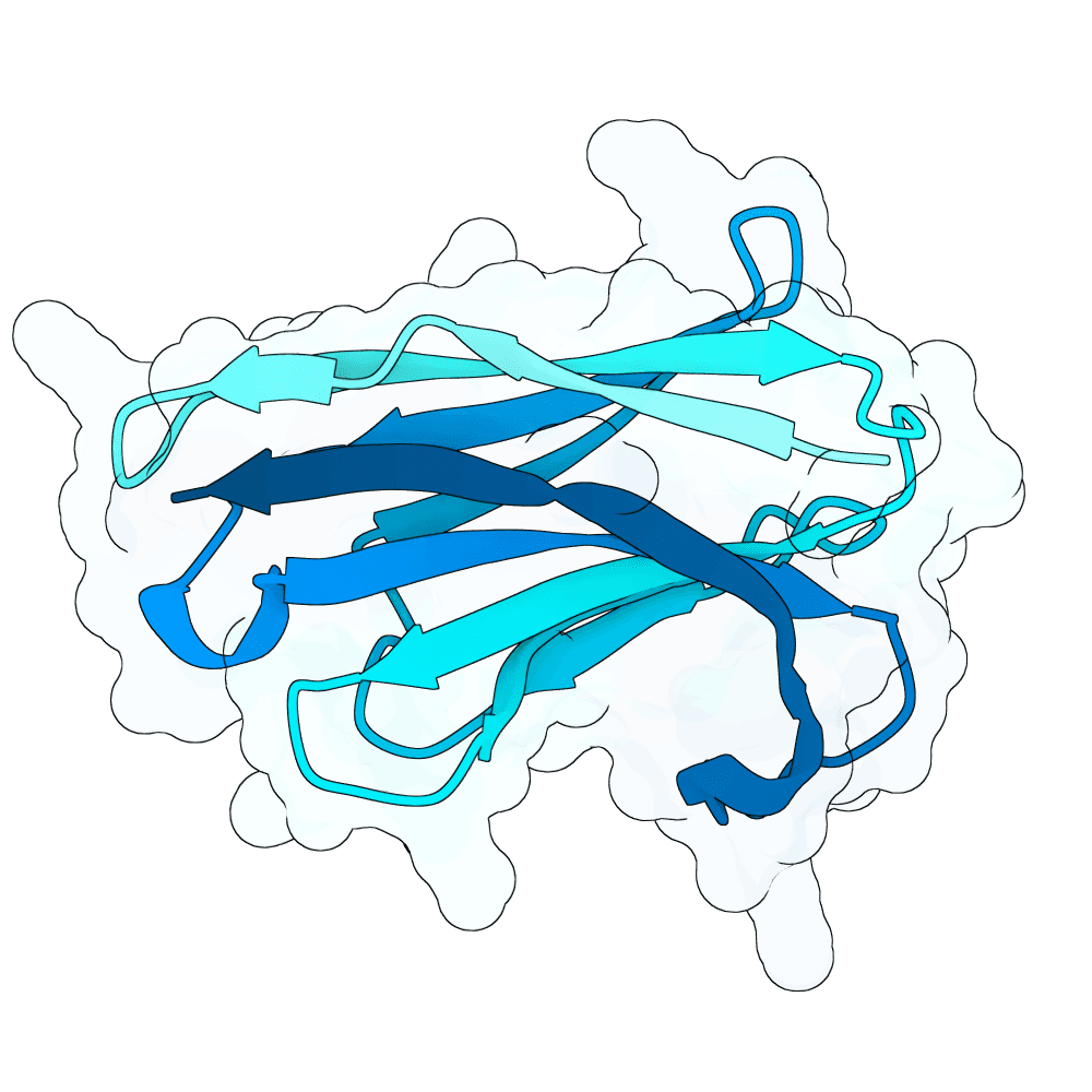 azure-eagle-thorn