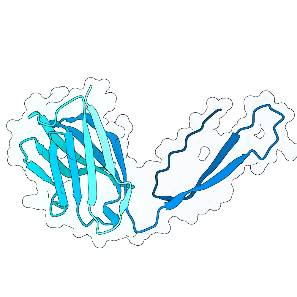 Protein preview silent-deer-leaf