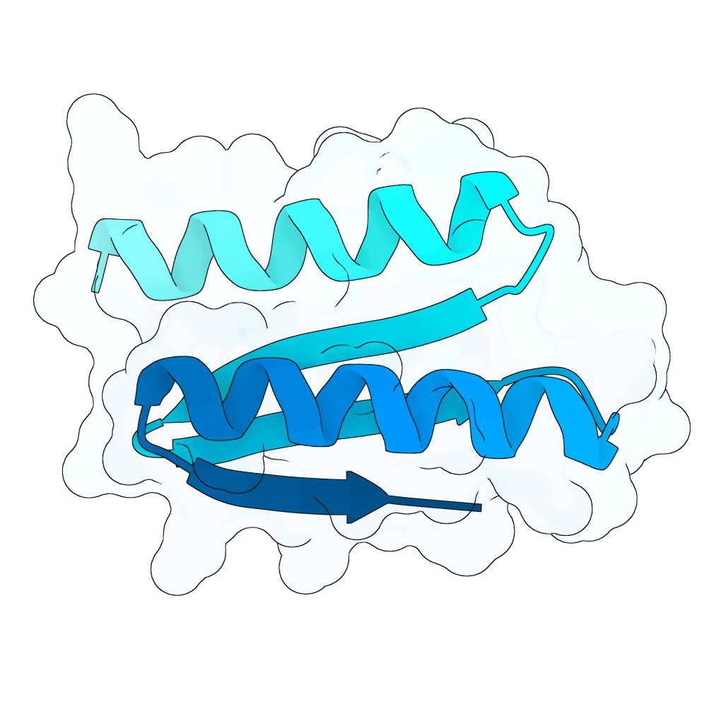 azure-bear-oak