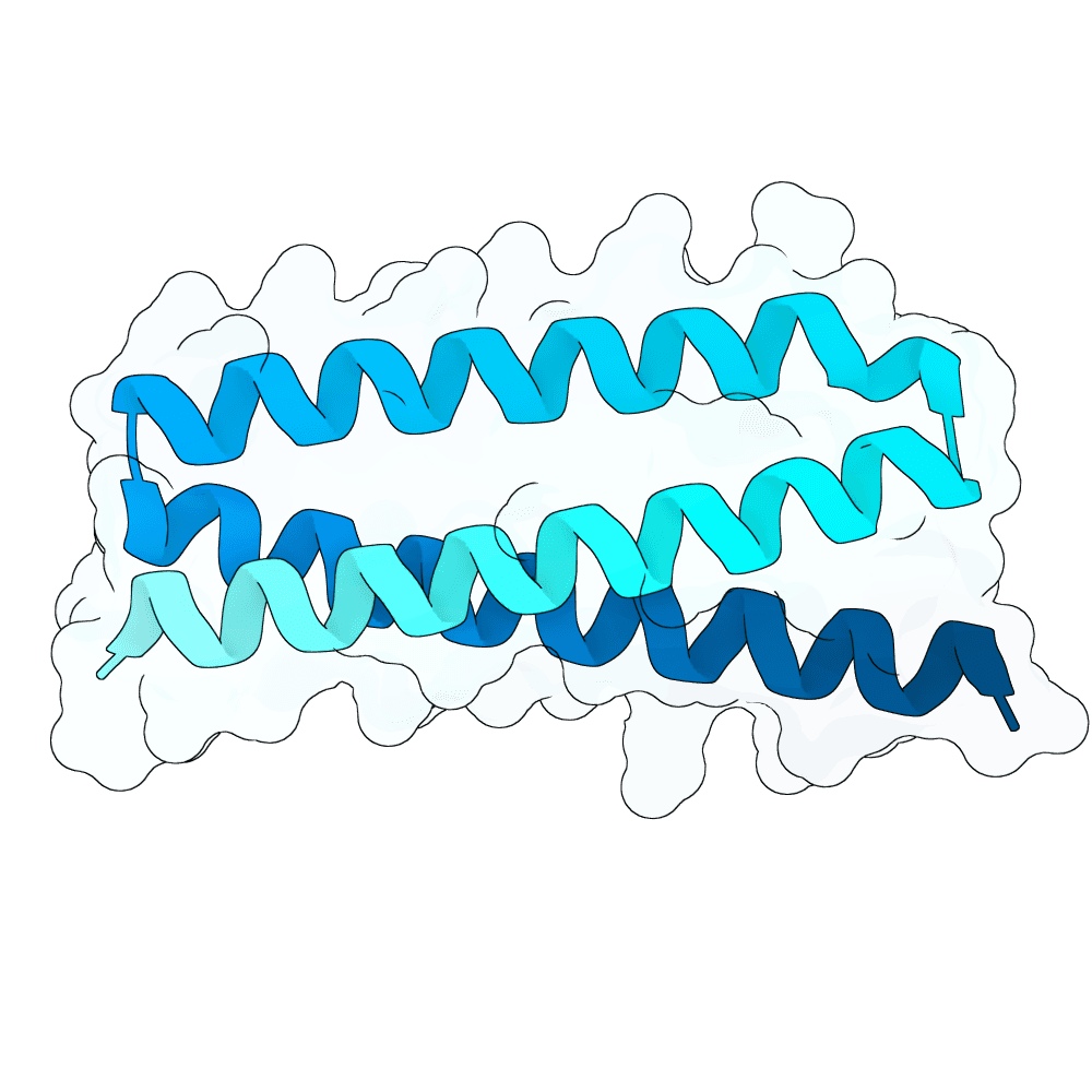 vast-ant-crystal