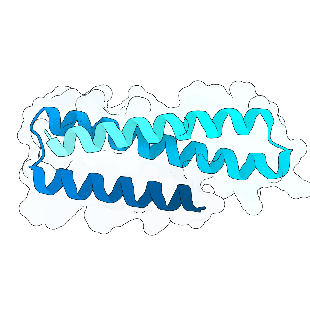 Protein preview shy-tiger-pine