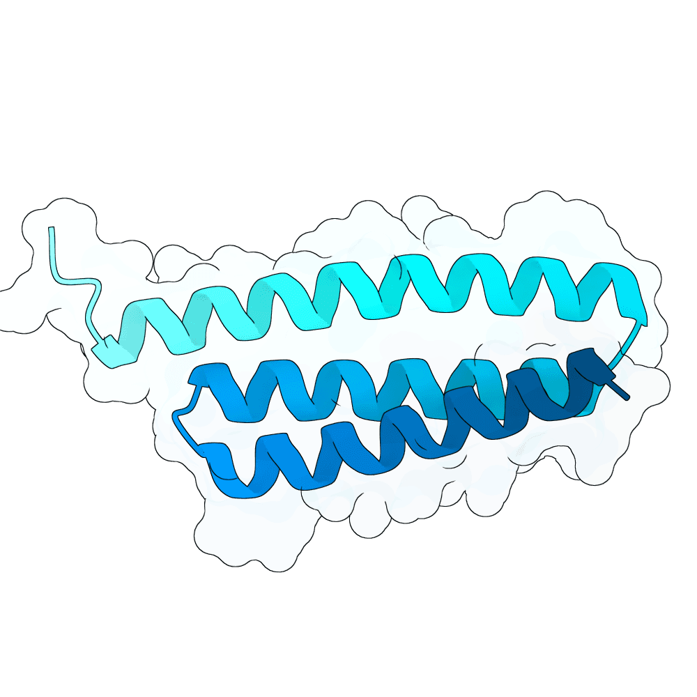 Protein preview scarlet-ant-granite
