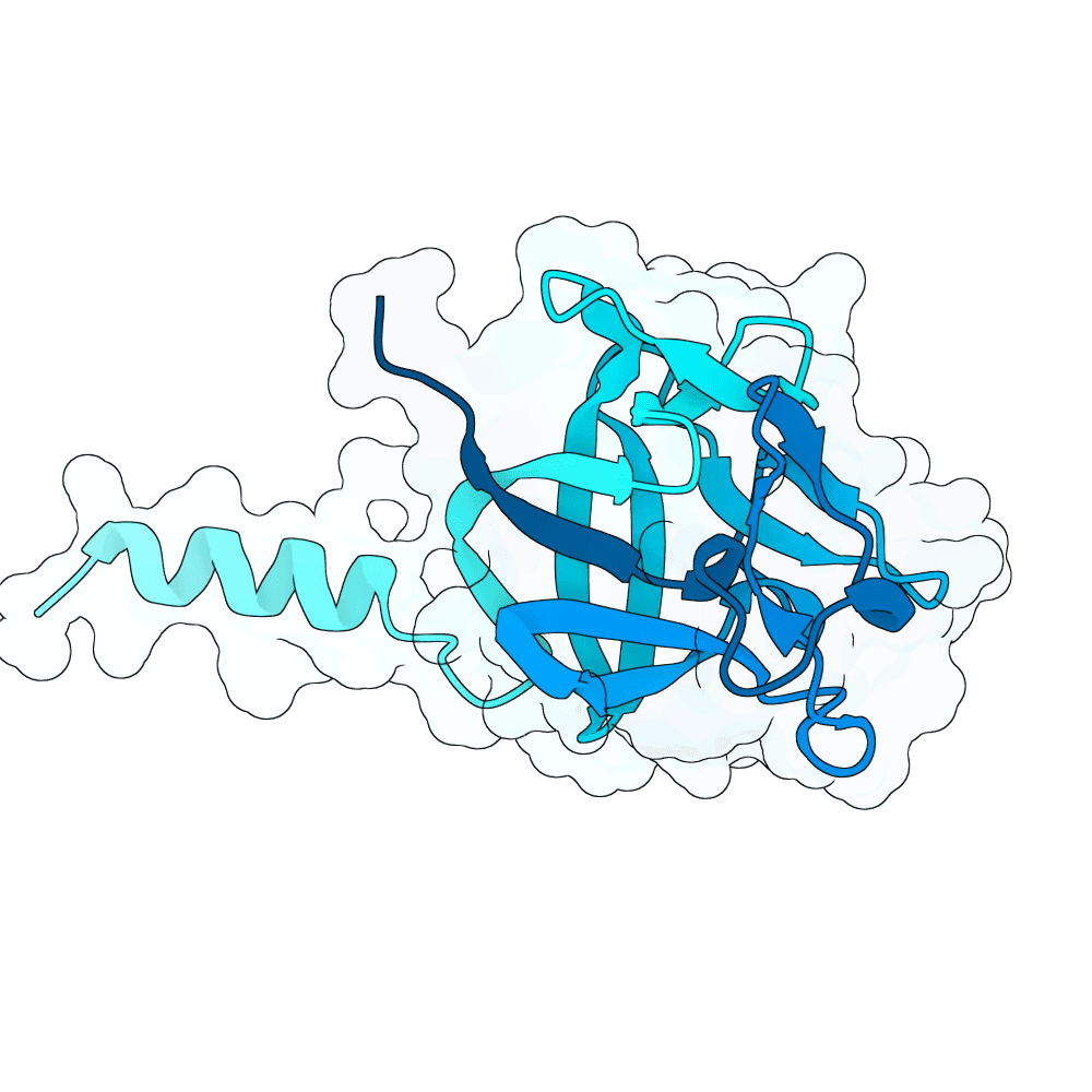 Protein preview swift-cobra-birch