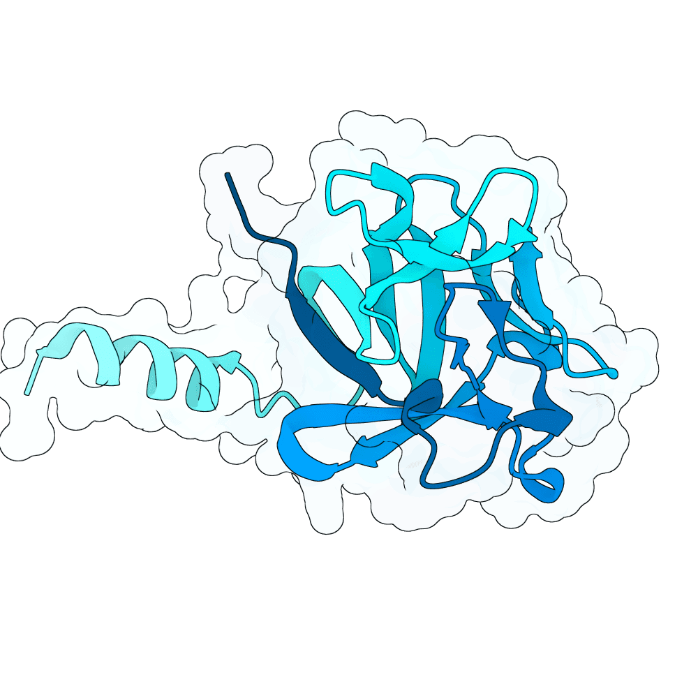 Protein preview amber-ram-thorn