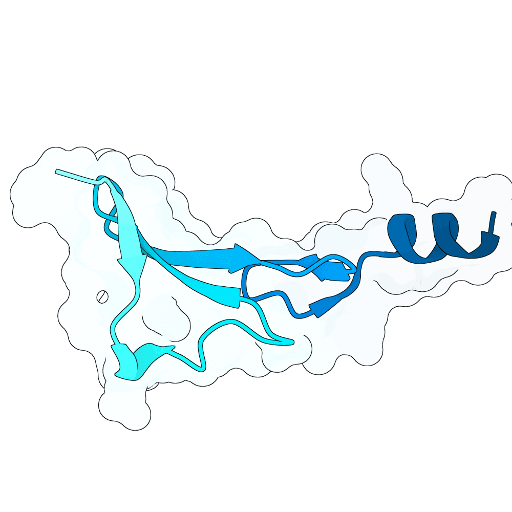 hollow-ram-ember