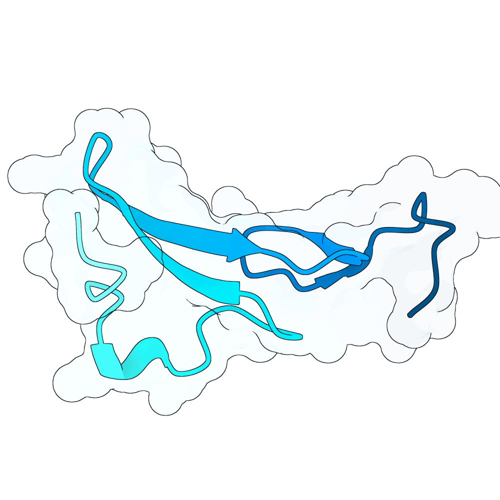 frozen-tiger-ice