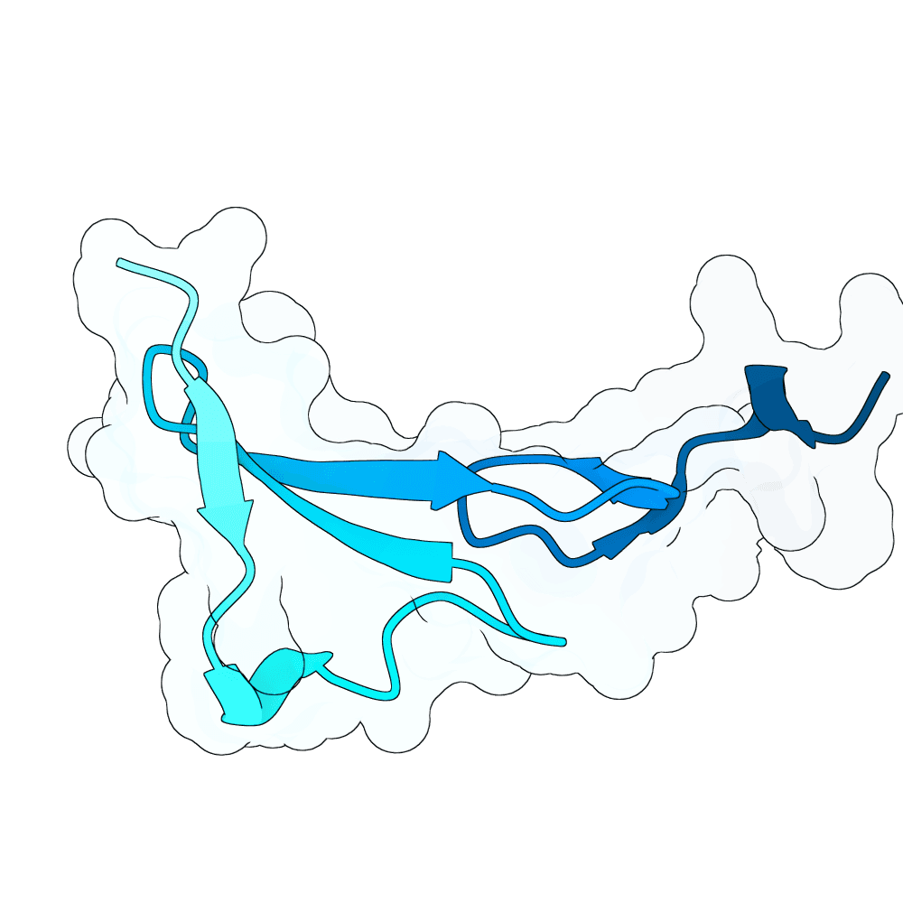 hollow-swan-plume