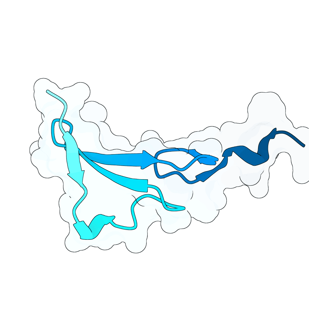 quick-eagle-leaf