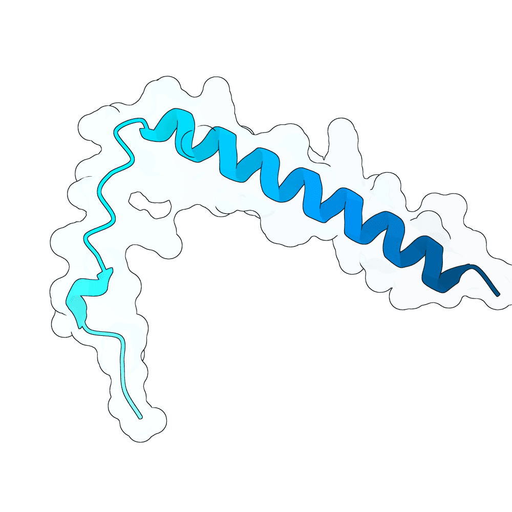 rapid-cat-wave