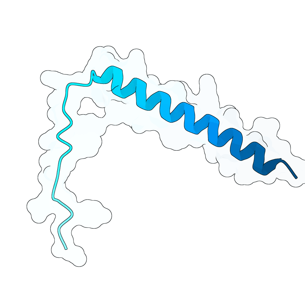 hollow-ant-topaz