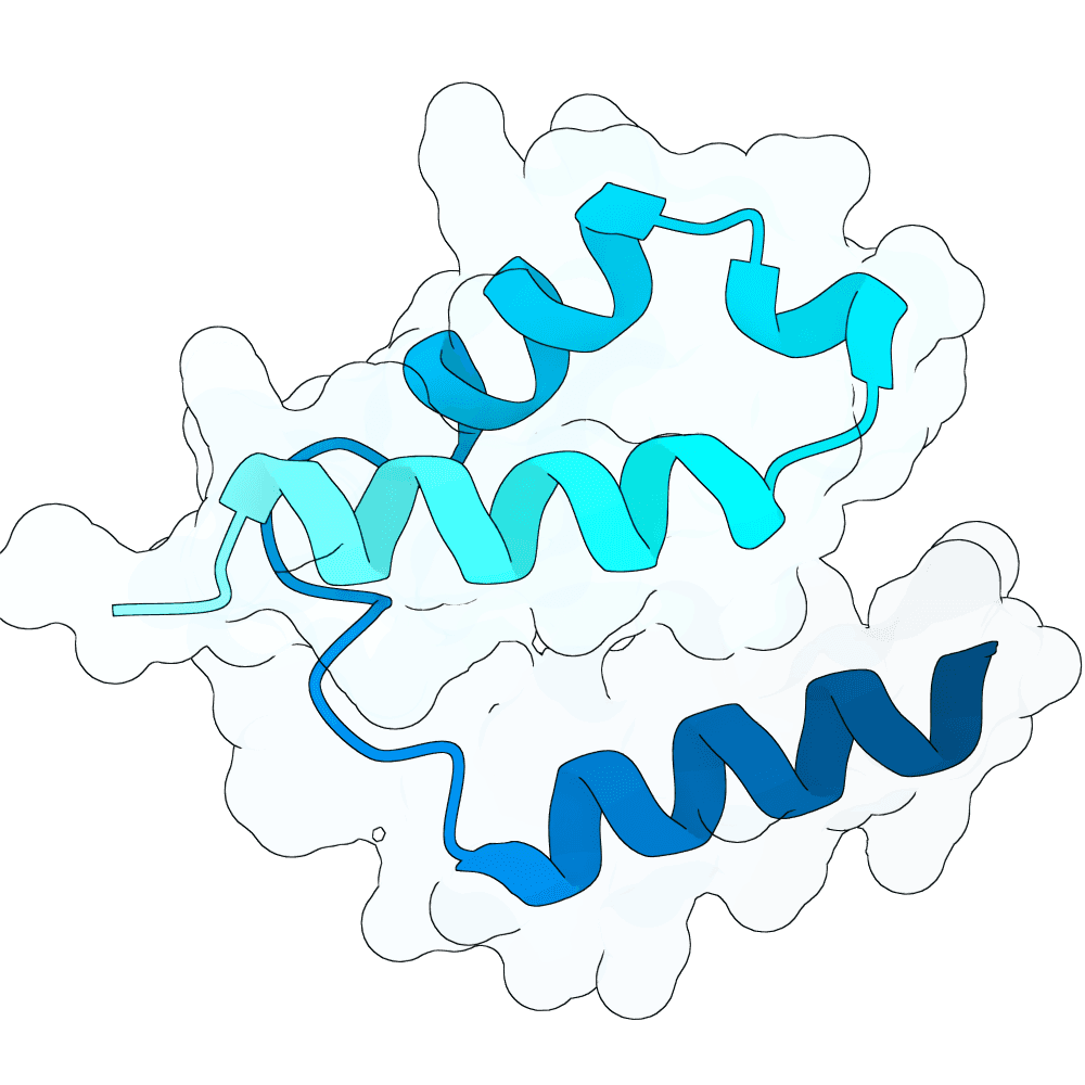 brisk-lion-topaz