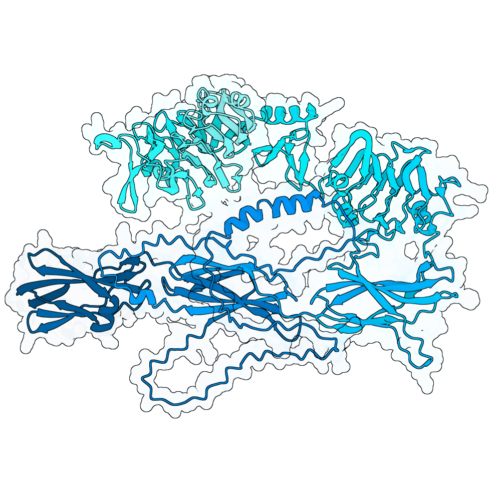 Insulin Receptor structure preview